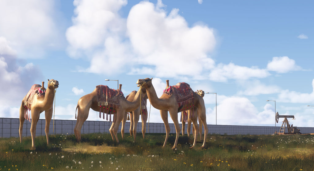 Tripoli Landmarks Scenery - MSFS2024